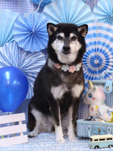 20231121ひめちゃん